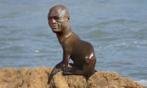 The seal of approval